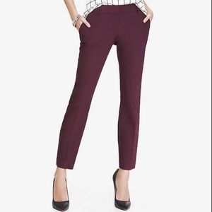 Express Columnist Pant - Maroon